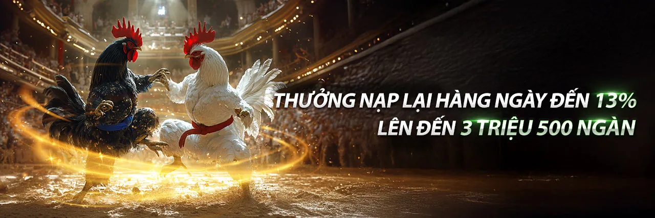 Chương trình hoàn trả hàng ngày 8swin