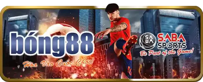 Hoàn trả cược thể thao hàng ngày